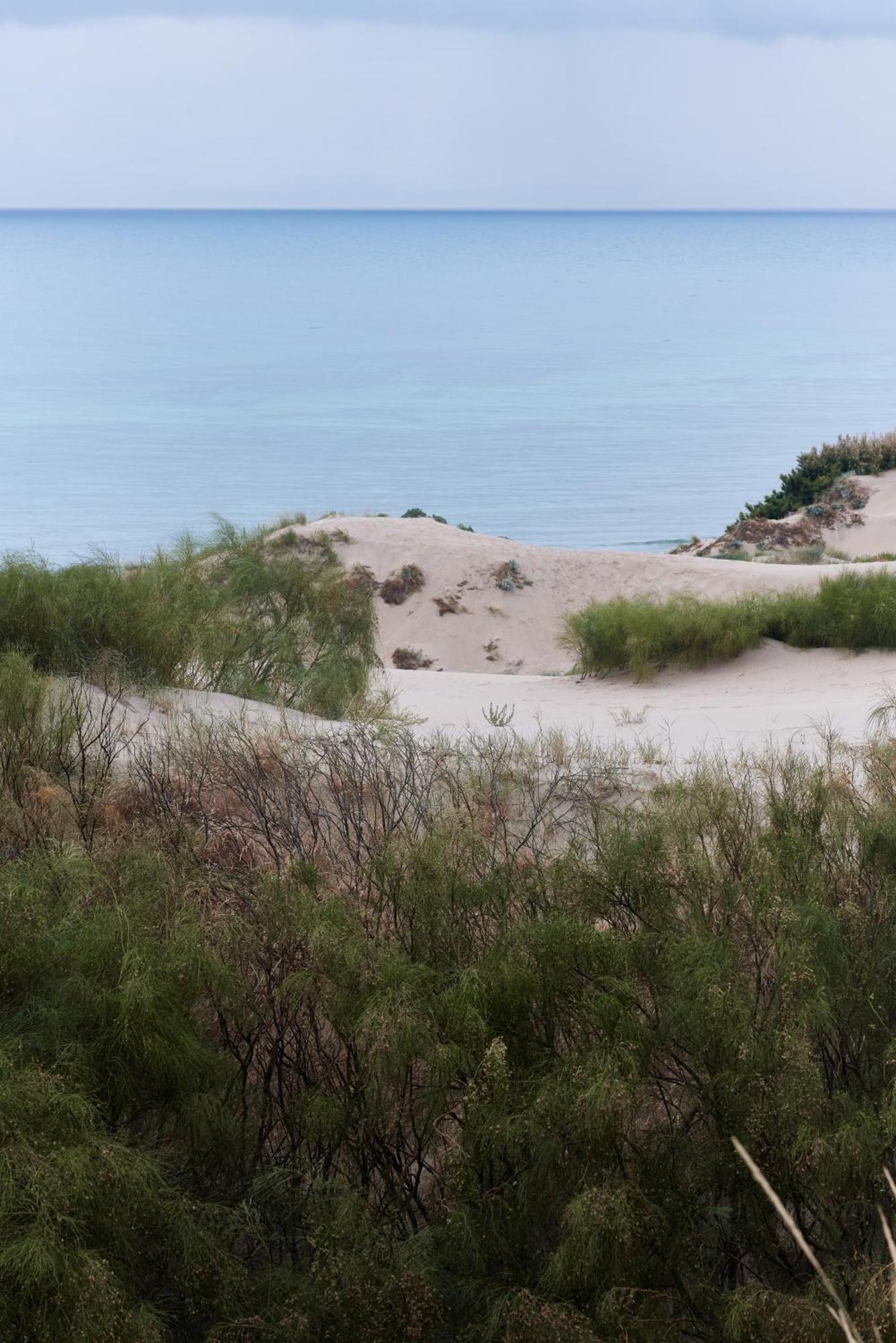 Hotel Taiga Tarifa Punta Paloma Exteriér fotografie