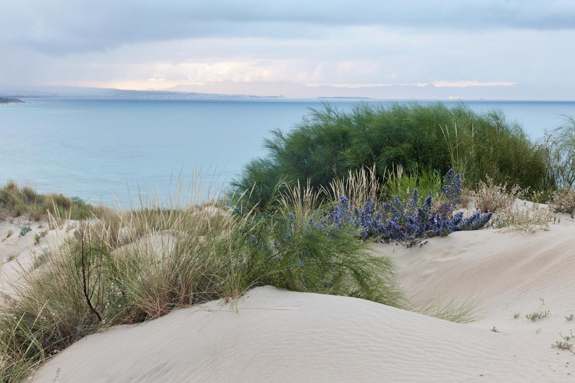 Hotel Taiga Tarifa Punta Paloma Exteriér fotografie